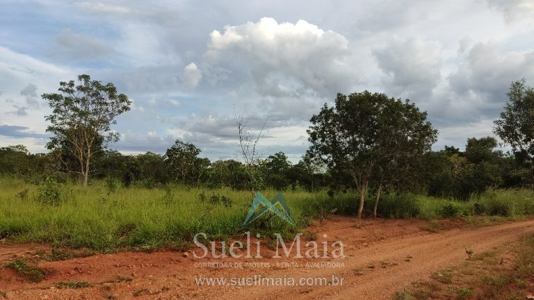 Fazenda 44 alq (213ha) Plana – dupla aptidão – Minaçu/GO Fazenda 44 alq (213ha) Plana – dupla aptidão – Minaçu/GO