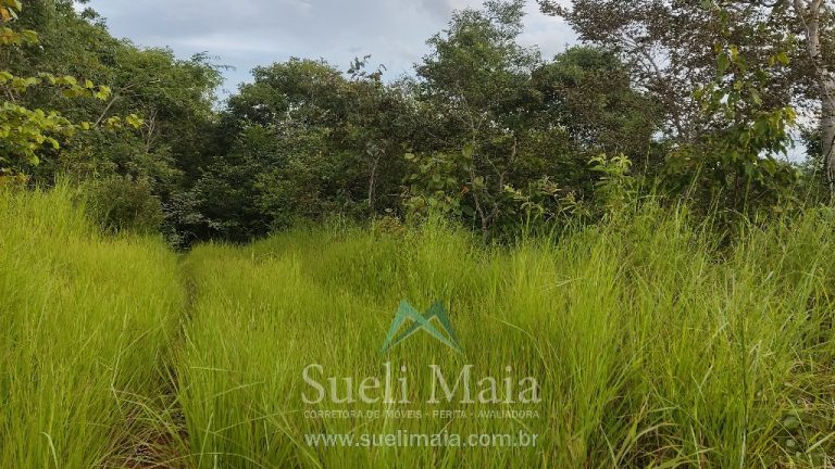 Fazenda 44 alq (213ha) Plana – dupla aptidão – Minaçu/GO Fazenda 44 alq (213ha) Plana – dupla aptidão – Minaçu/GO