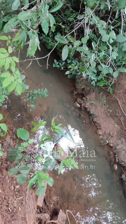 Fazenda 44 alq (213ha) Plana – dupla aptidão – Minaçu/GO Fazenda 44 alq (213ha) Plana – dupla aptidão – Minaçu/GO
