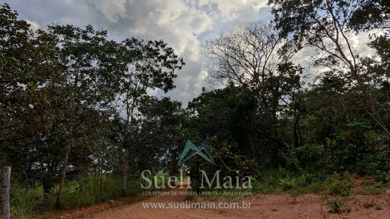 Fazenda 44 alq (213ha) Plana – dupla aptidão – Minaçu/GO Fazenda 44 alq (213ha) Plana – dupla aptidão – Minaçu/GO