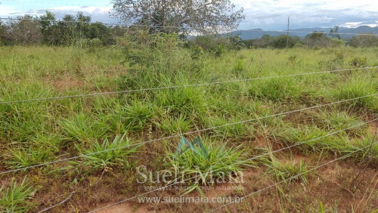 Fazenda 44 alq (213ha) Plana – dupla aptidão – Minaçu/GO Fazenda 44 alq (213ha) Plana – dupla aptidão – Minaçu/GO