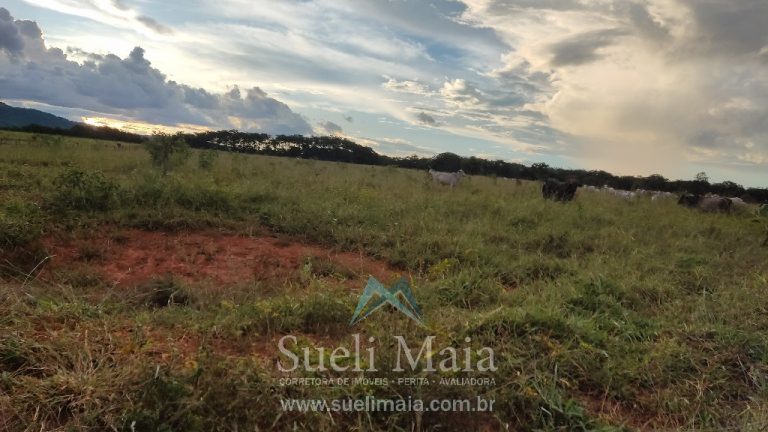 Fazenda 44 alq (213ha) Plana – dupla aptidão – Minaçu/GO Fazenda 44 alq (213ha) Plana – dupla aptidão – Minaçu/GO