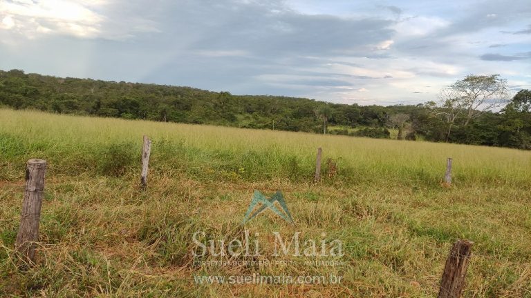 Fazenda 44 alq (213ha) Plana – dupla aptidão – Minaçu/GO Fazenda 44 alq (213ha) Plana – dupla aptidão – Minaçu/GO