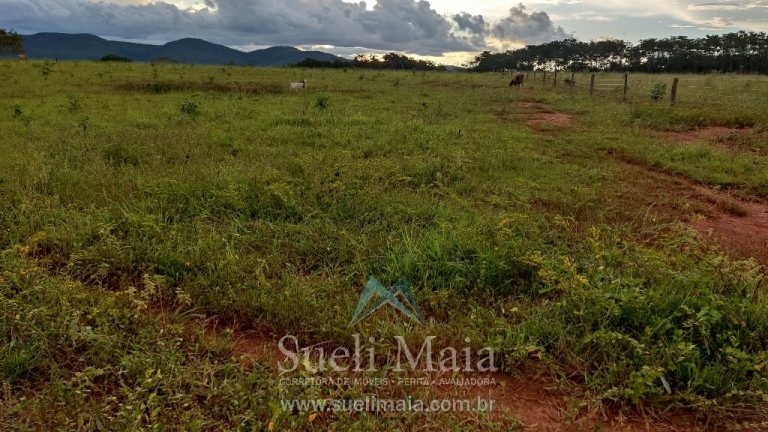 Fazenda 44 alq (213ha) Plana – dupla aptidão – Minaçu/GO Fazenda 44 alq (213ha) Plana – dupla aptidão – Minaçu/GO