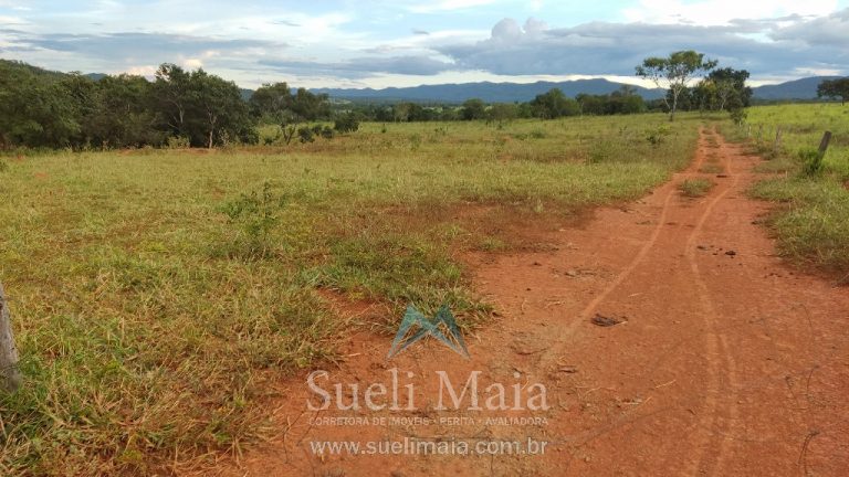 Fazenda 44 alq (213ha) Plana – dupla aptidão – Minaçu/GO Fazenda 44 alq (213ha) Plana – dupla aptidão – Minaçu/GO