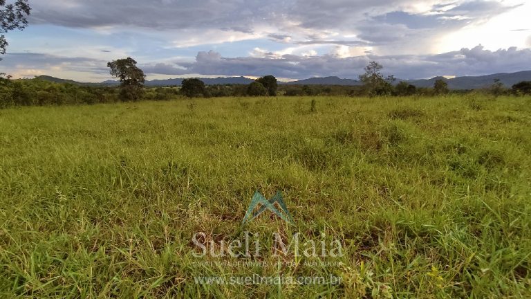 Fazenda 44 alq (213ha) Plana – dupla aptidão – Minaçu/GO Fazenda 44 alq (213ha) Plana – dupla aptidão – Minaçu/GO