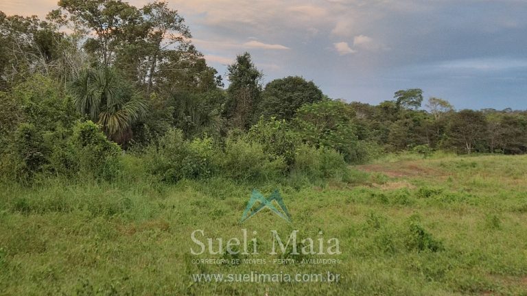 Fazenda 44 alq (213ha) Plana – dupla aptidão – Minaçu/GO Fazenda 44 alq (213ha) Plana – dupla aptidão – Minaçu/GO