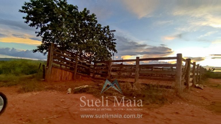Fazenda 44 alq (213ha) Plana – dupla aptidão – Minaçu/GO Fazenda 44 alq (213ha) Plana – dupla aptidão – Minaçu/GO
