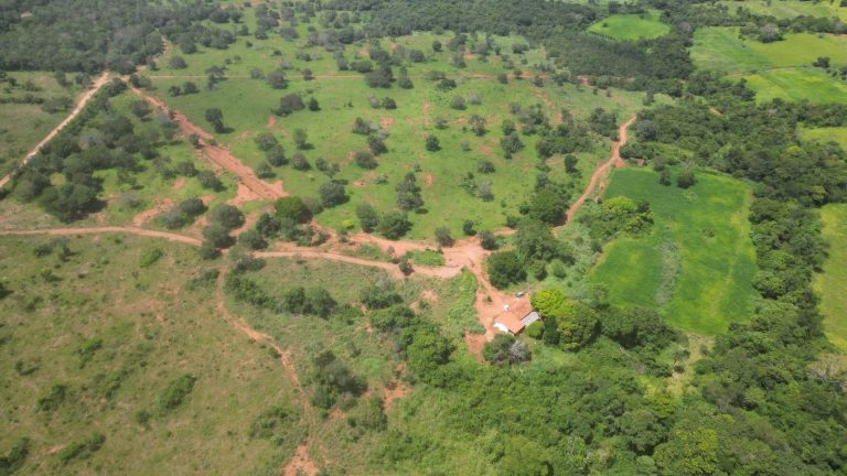 Fazenda 44 alq (213ha) Plana – dupla aptidão – Minaçu/GO Fazenda 44 alq (213ha) Plana – dupla aptidão – Minaçu/GO