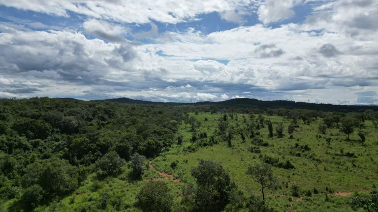 Fazenda 44 alq (213ha) Plana – dupla aptidão – Minaçu/GO Fazenda 44 alq (213ha) Plana – dupla aptidão – Minaçu/GO