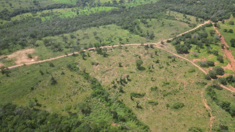 Fazenda 44 alq (213ha) Plana – dupla aptidão – Minaçu/GO Fazenda 44 alq (213ha) Plana – dupla aptidão – Minaçu/GO
