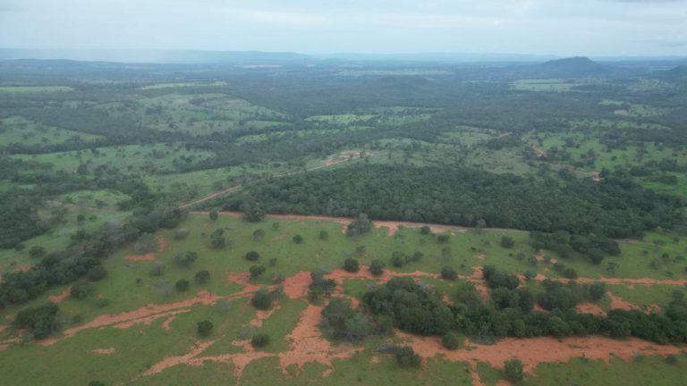 Fazenda 44 alq (213ha) Plana – dupla aptidão – Minaçu/GO Fazenda 44 alq (213ha) Plana – dupla aptidão – Minaçu/GO