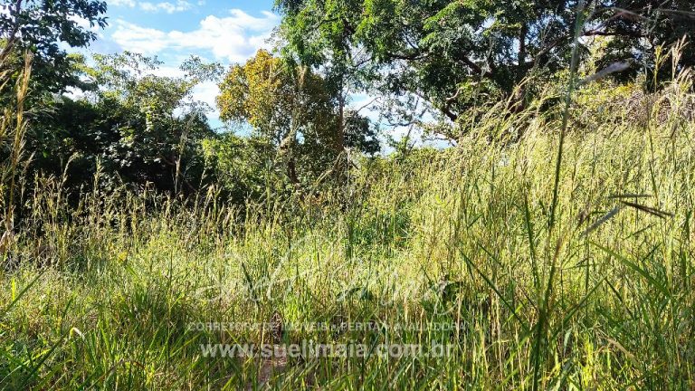 FAZENDINHA 19,7 ALQ – ASFALTO – A 6KM DE MINAÇU/GO