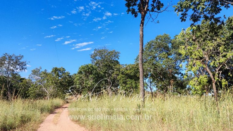 FAZENDINHA 19,7 ALQ – ASFALTO – A 6KM DE MINAÇU/GO
