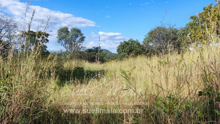 FAZENDINHA 19,7 ALQ – ASFALTO – A 6KM DE MINAÇU/GO