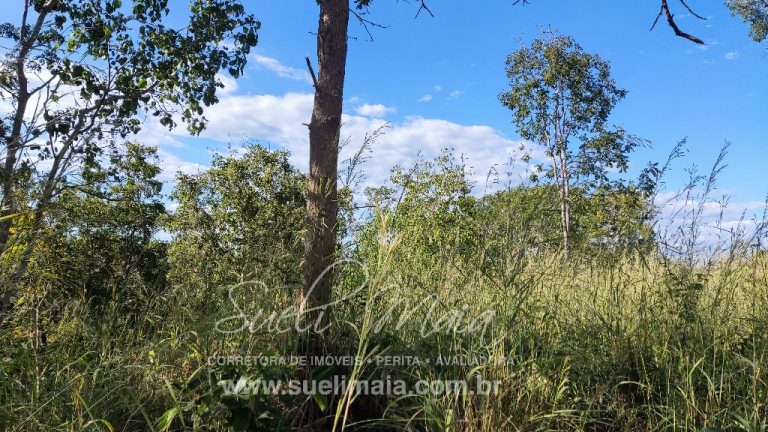 FAZENDINHA 19,7 ALQ – ASFALTO – A 6KM DE MINAÇU/GO