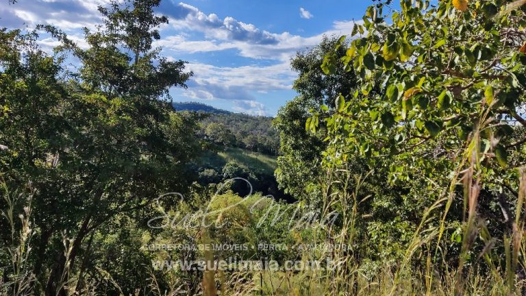 FAZENDINHA 19,7 ALQ – ASFALTO – A 6KM DE MINAÇU/GO