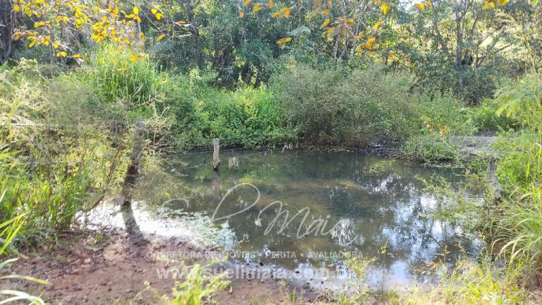 FAZENDINHA 19,7 ALQ – ASFALTO – A 6KM DE MINAÇU/GO