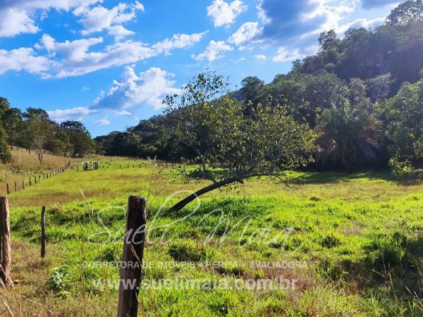 FAZENDINHA 19,7 ALQ – ASFALTO – A 6KM DE MINAÇU/GO