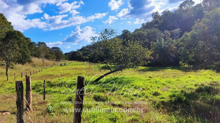 FAZENDINHA 19,7 ALQ – ASFALTO – A 6KM DE MINAÇU/GO