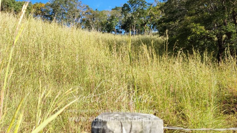 FAZENDINHA 19,7 ALQ – ASFALTO – A 6KM DE MINAÇU/GO