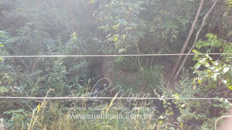 FAZENDINHA 19,7 ALQ – ASFALTO – A 6KM DE MINAÇU/GO