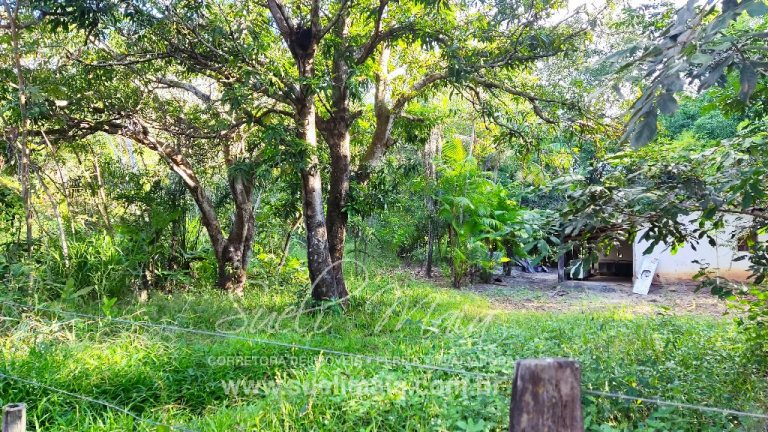 FAZENDINHA 19,7 ALQ – ASFALTO – A 6KM DE MINAÇU/GO