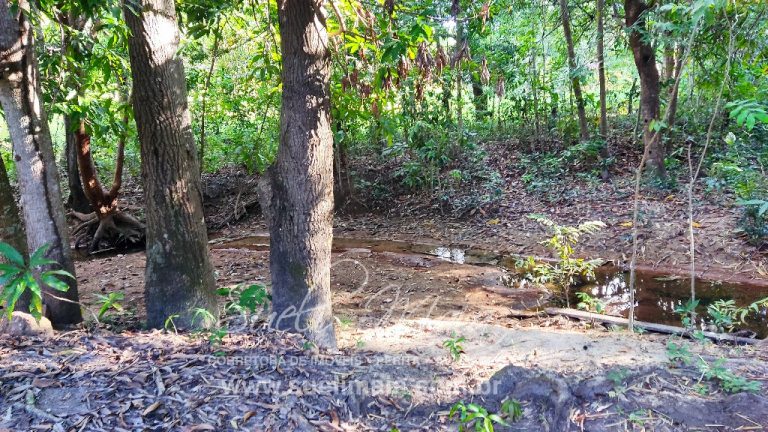 FAZENDINHA 19,7 ALQ – ASFALTO – A 6KM DE MINAÇU/GO