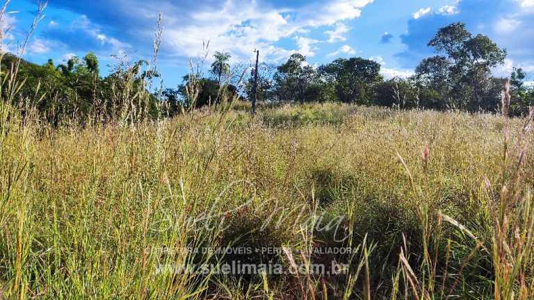 FAZENDINHA 19,7 ALQ – ASFALTO – A 6KM DE MINAÇU/GO