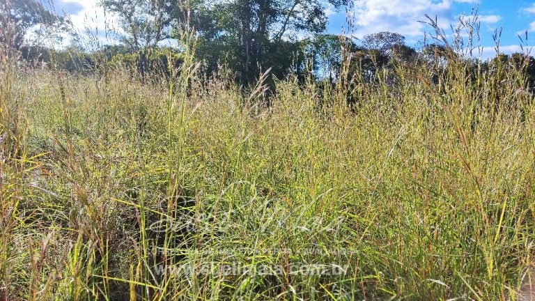 FAZENDINHA 19,7 ALQ – ASFALTO – A 6KM DE MINAÇU/GO