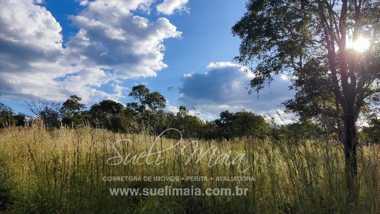 FAZENDINHA 19,7 ALQ – ASFALTO – A 6KM DE MINAÇU/GO