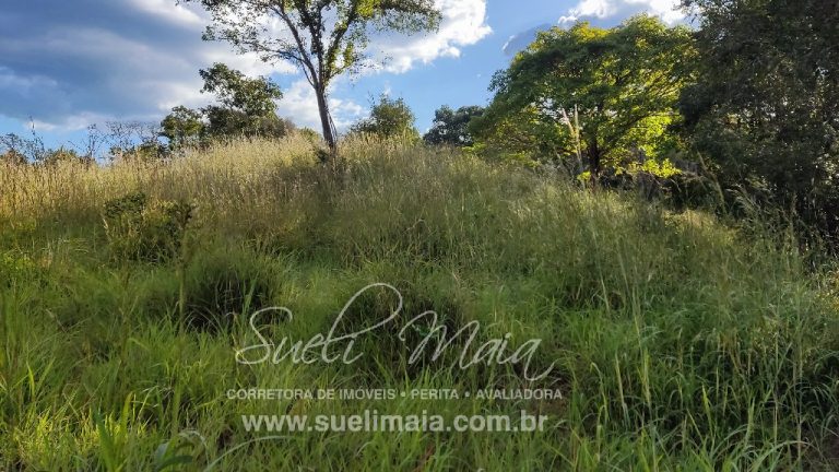 FAZENDINHA 19,7 ALQ – ASFALTO – A 6KM DE MINAÇU/GO