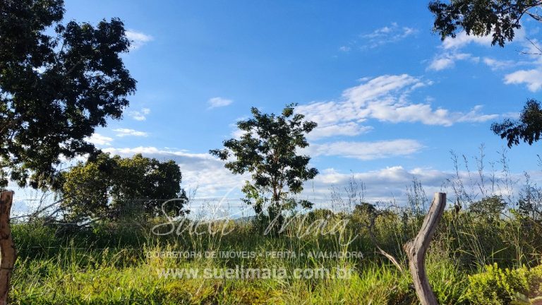FAZENDINHA 19,7 ALQ – ASFALTO – A 6KM DE MINAÇU/GO