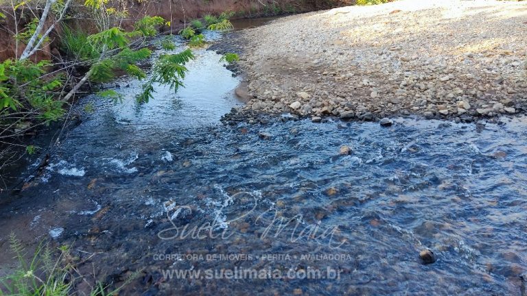 FAZENDA 48,5 ALQ 70% PLANA – A 13KM DA CIDADE FAZENDA 48,5 ALQ 70% PLANA – A 13KM DA CIDADE