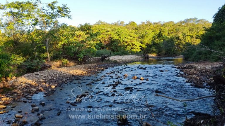 FAZENDA 48,5 ALQ 70% PLANA – A 13KM DA CIDADE FAZENDA 48,5 ALQ 70% PLANA – A 13KM DA CIDADE