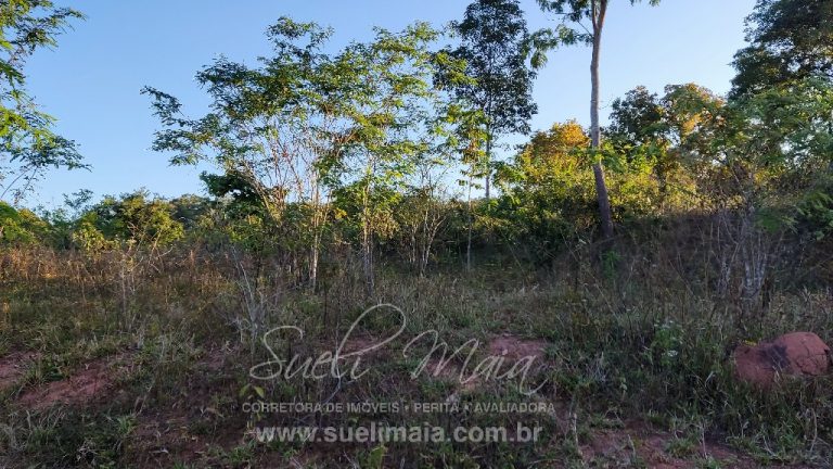FAZENDA 48,5 ALQ 70% PLANA – A 13KM DA CIDADE FAZENDA 48,5 ALQ 70% PLANA – A 13KM DA CIDADE