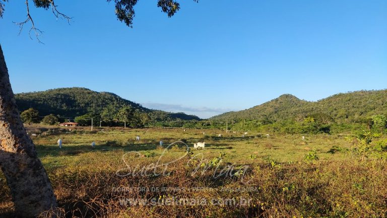 FAZENDA 48,5 ALQ 70% PLANA – A 13KM DA CIDADE FAZENDA 48,5 ALQ 70% PLANA – A 13KM DA CIDADE