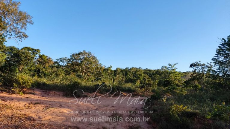 FAZENDA 48,5 ALQ 70% PLANA – A 13KM DA CIDADE FAZENDA 48,5 ALQ 70% PLANA – A 13KM DA CIDADE