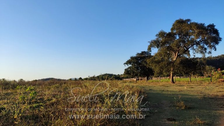 FAZENDA 48,5 ALQ 70% PLANA – A 13KM DA CIDADE FAZENDA 48,5 ALQ 70% PLANA – A 13KM DA CIDADE