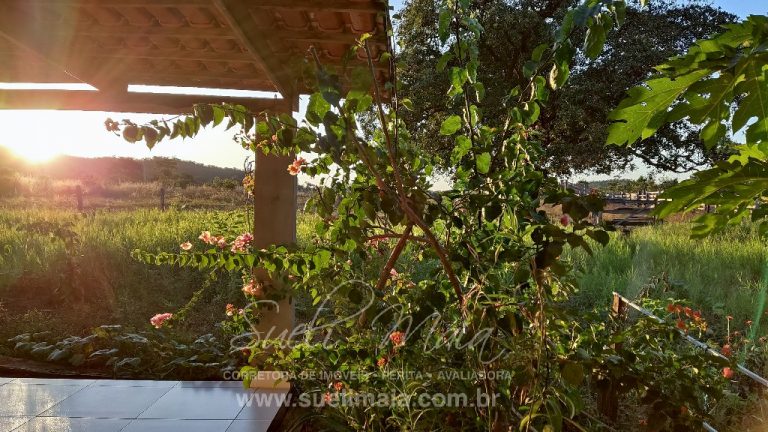 FAZENDA 48,5 ALQ 70% PLANA – A 13KM DA CIDADE FAZENDA 48,5 ALQ 70% PLANA – A 13KM DA CIDADE