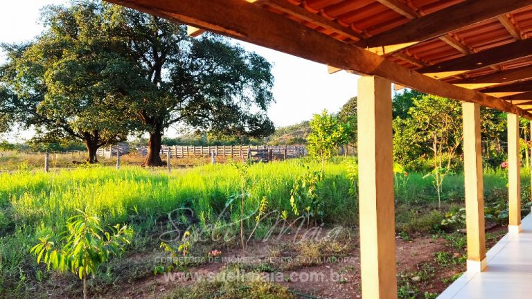 FAZENDA 48,5 ALQ 70% PLANA – A 13KM DA CIDADE FAZENDA 48,5 ALQ 70% PLANA – A 13KM DA CIDADE