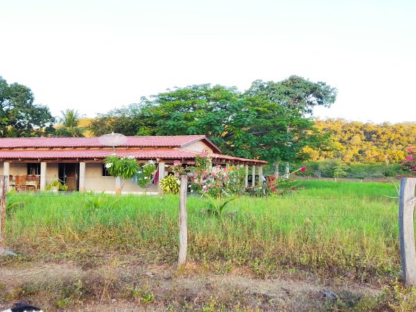 FAZENDA 48,5 ALQ 70% PLANA – A 13KM DA CIDADE