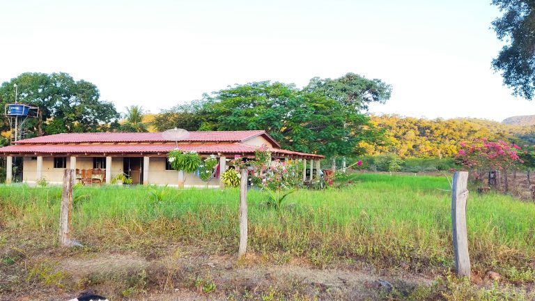 FAZENDA 48,5 ALQ 70% PLANA – A 13KM DA CIDADE FAZENDA 48,5 ALQ 70% PLANA – A 13KM DA CIDADE