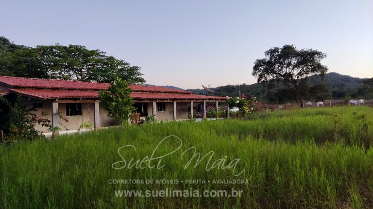 FAZENDA 48,5 ALQ 70% PLANA – A 13KM DA CIDADE FAZENDA 48,5 ALQ 70% PLANA – A 13KM DA CIDADE