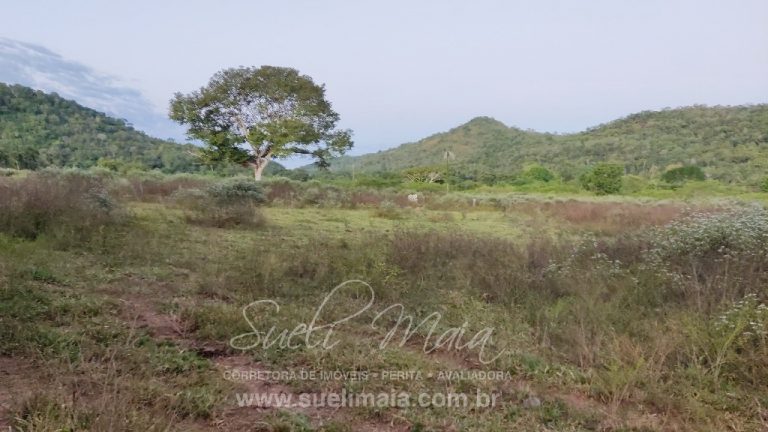 FAZENDA 48,5 ALQ 70% PLANA – A 13KM DA CIDADE FAZENDA 48,5 ALQ 70% PLANA – A 13KM DA CIDADE