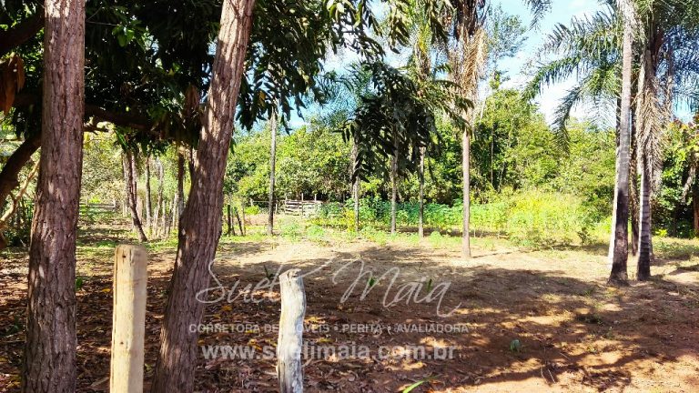 Sítio de 10 alq. – Às margens do Ribeirão Lajeado – Minaçu