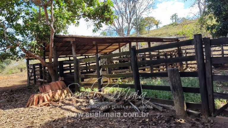 Sítio de 10 alq. – Às margens do Ribeirão Lajeado – Minaçu
