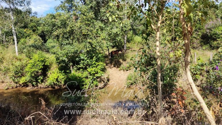 Sítio de 10 alq. – Às margens do Ribeirão Lajeado – Minaçu