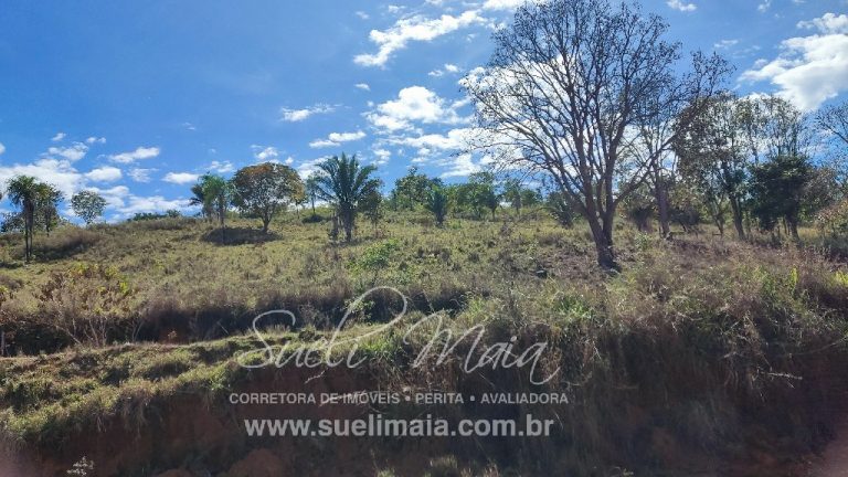 Sítio de 10 alq. – Às margens do Ribeirão Lajeado – Minaçu