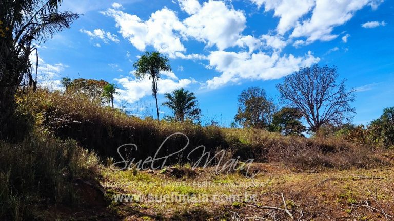 Sítio de 10 alq. – Às margens do Ribeirão Lajeado – Minaçu